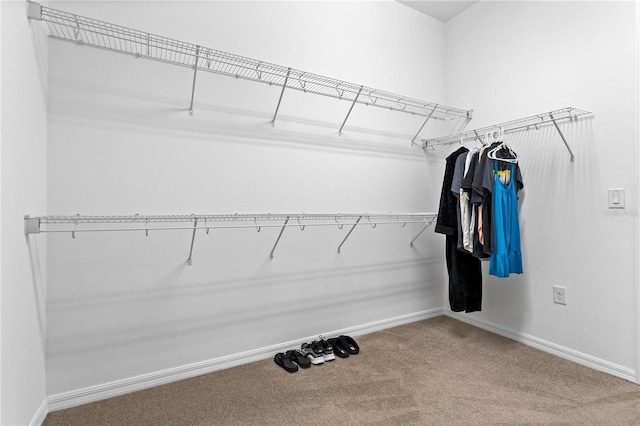 walk in closet featuring carpet floors