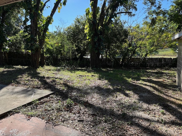 view of yard with a patio area