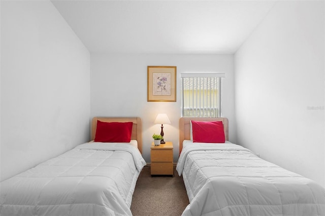 bedroom featuring carpet