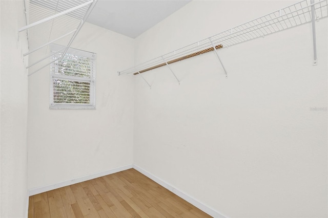 spacious closet featuring hardwood / wood-style floors