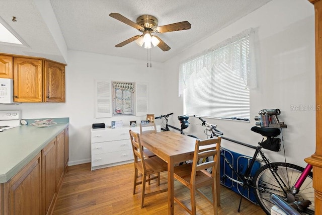 dining area featuring ceiling fan, a textured ceiling, and light wood-type flooring