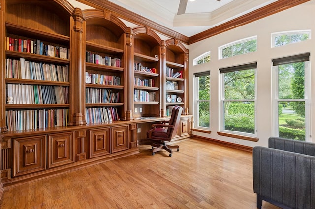 office space with light hardwood / wood-style flooring, built in desk, ceiling fan, and crown molding