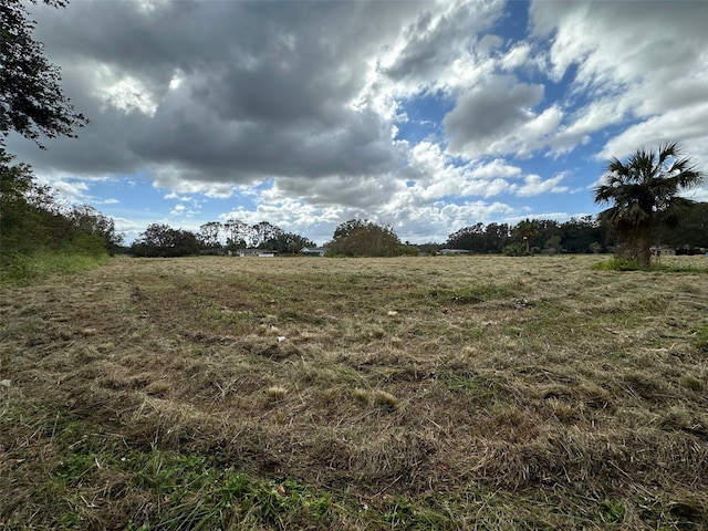 view of local wilderness featuring a rural view