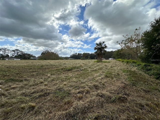 view of landscape with a rural view