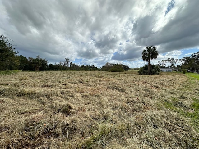 view of landscape featuring a rural view