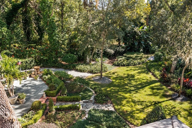 view of yard featuring a patio