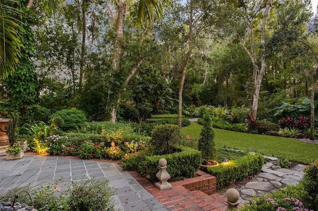 view of yard featuring a patio