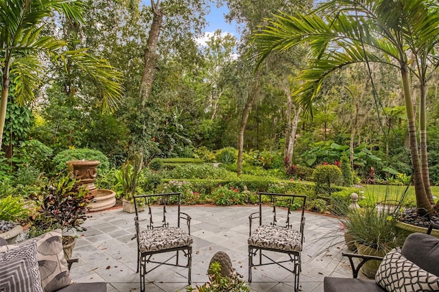 view of community featuring a patio area