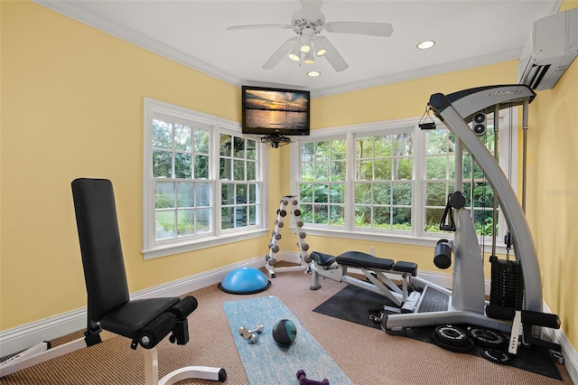 exercise area featuring crown molding, a wall unit AC, and plenty of natural light