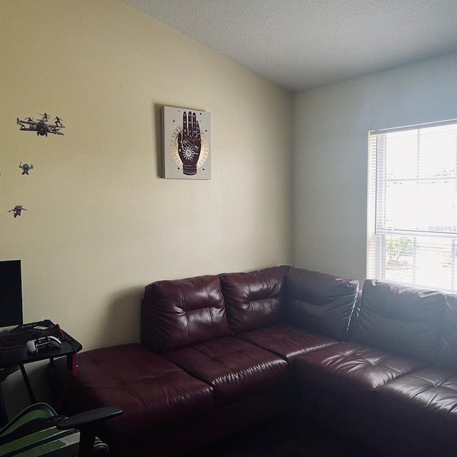 living room with lofted ceiling and a textured ceiling