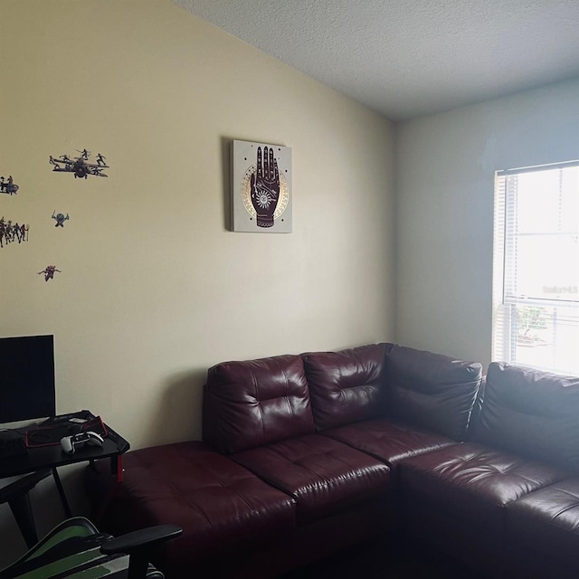 living room with a textured ceiling and vaulted ceiling