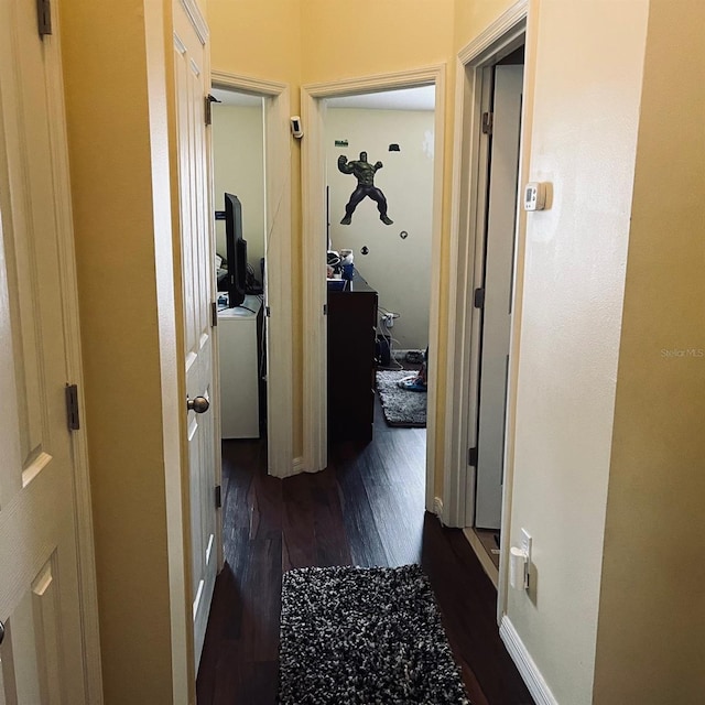 hallway featuring dark hardwood / wood-style flooring