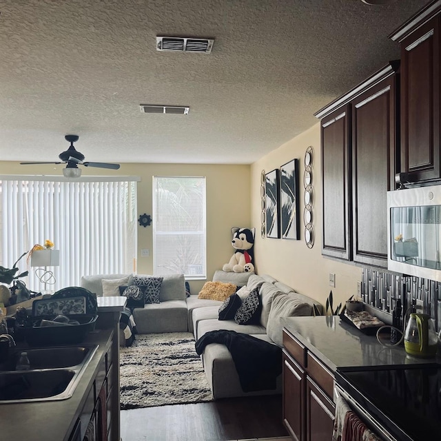 kitchen with a textured ceiling, wood-type flooring, dark brown cabinetry, and sink