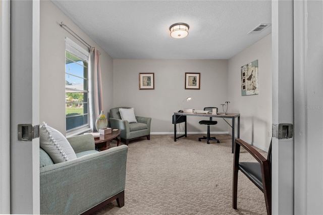 carpeted office with a textured ceiling