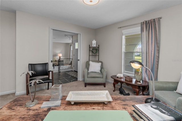 living area featuring dark carpet