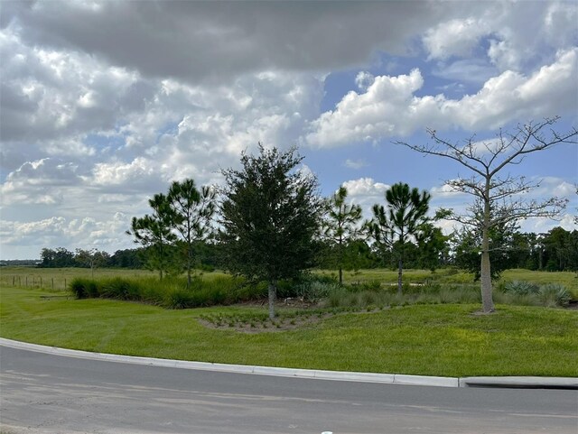 LOT41 Cromwell Rd, Orlando, FL 32827 - photo 3