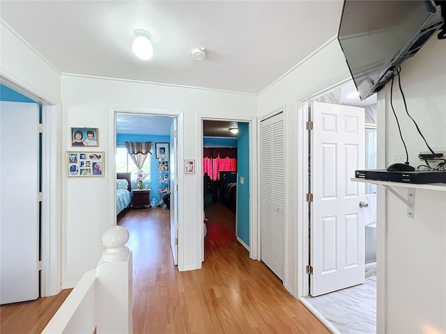 corridor featuring light hardwood / wood-style flooring