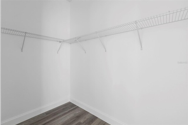 16941 SW 30th Avenue Rd SW, Ocala, FL 34473 - walk in closet with dark wood finished floors