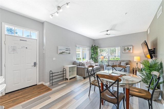 dining room featuring ceiling fan, a textured ceiling, light hardwood / wood-style flooring, and a wealth of natural light