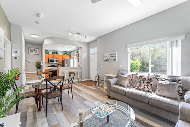 living room featuring light hardwood / wood-style flooring