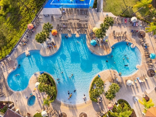 view of swimming pool