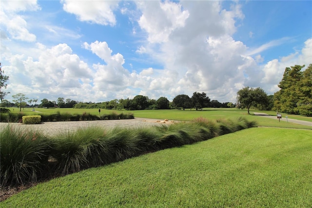 view of home's community with a lawn