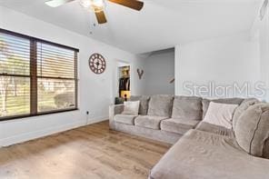 living room with hardwood / wood-style flooring and ceiling fan