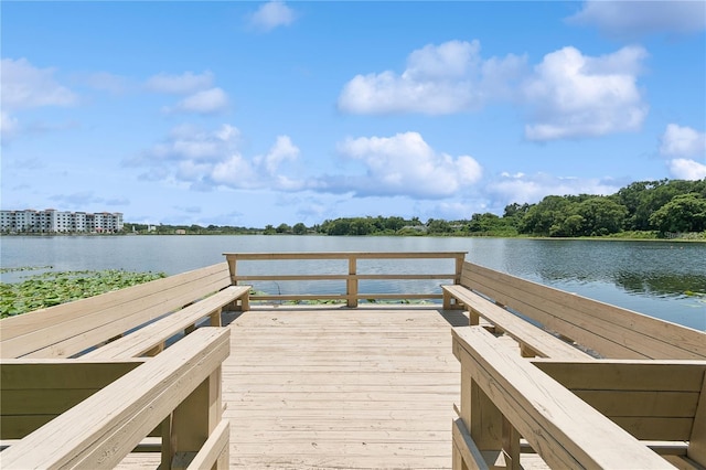 dock area with a water view