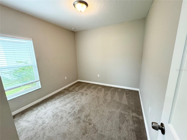 empty room featuring carpet floors and a textured ceiling