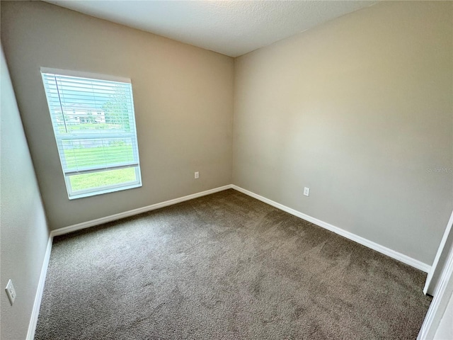 spare room featuring carpet floors