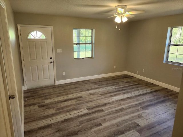 entryway featuring a healthy amount of sunlight and dark wood-type flooring