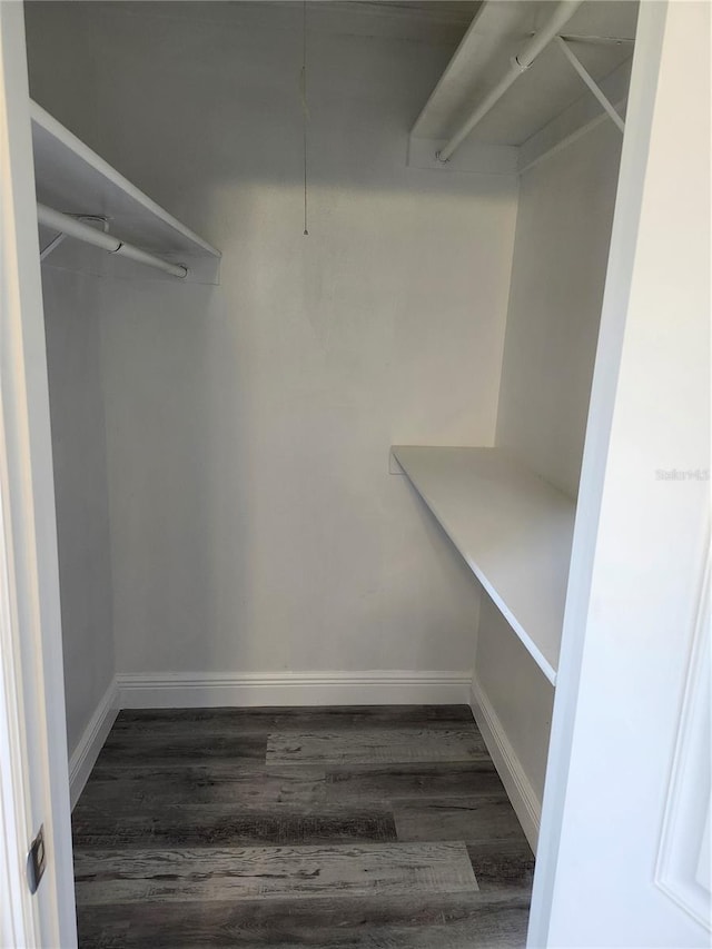 spacious closet with dark hardwood / wood-style floors