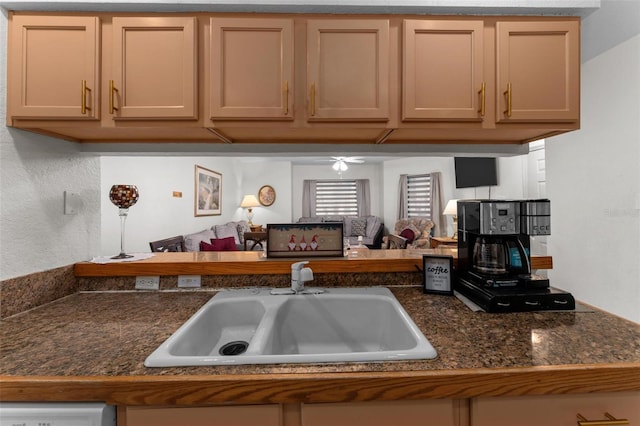 kitchen with sink, ceiling fan, and light brown cabinets