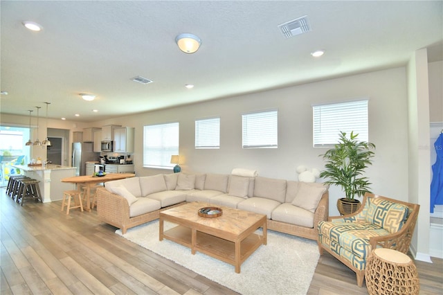 living room featuring light wood-type flooring