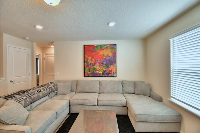 living room with a textured ceiling