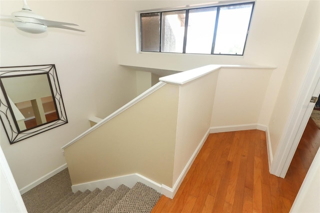 staircase featuring hardwood / wood-style floors