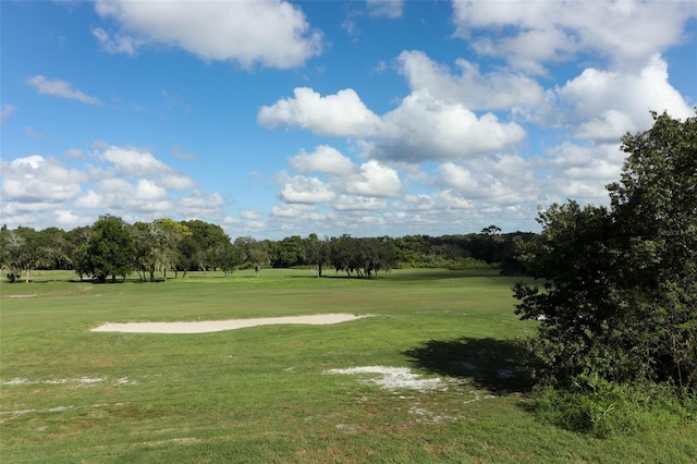 view of community with a yard