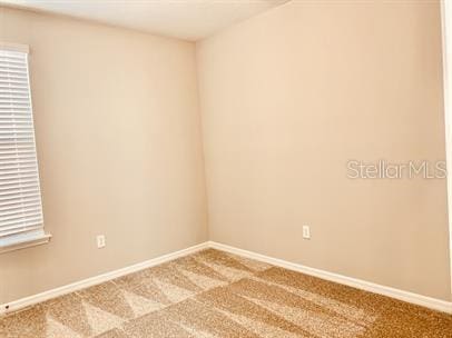 unfurnished room featuring carpet