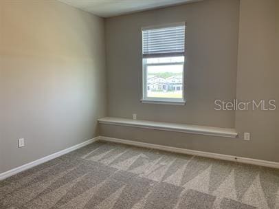 spare room with carpet