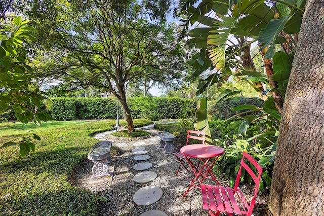 view of yard featuring a patio