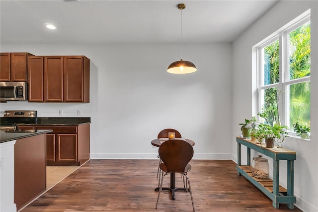 kitchen featuring stainless steel appliances, dark hardwood / wood-style flooring, and pendant lighting