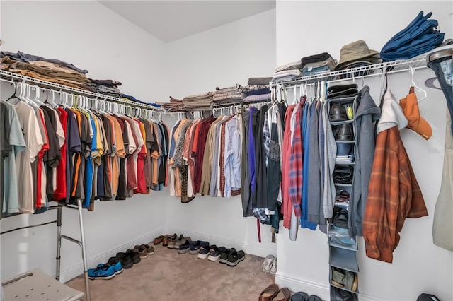 spacious closet with carpet floors