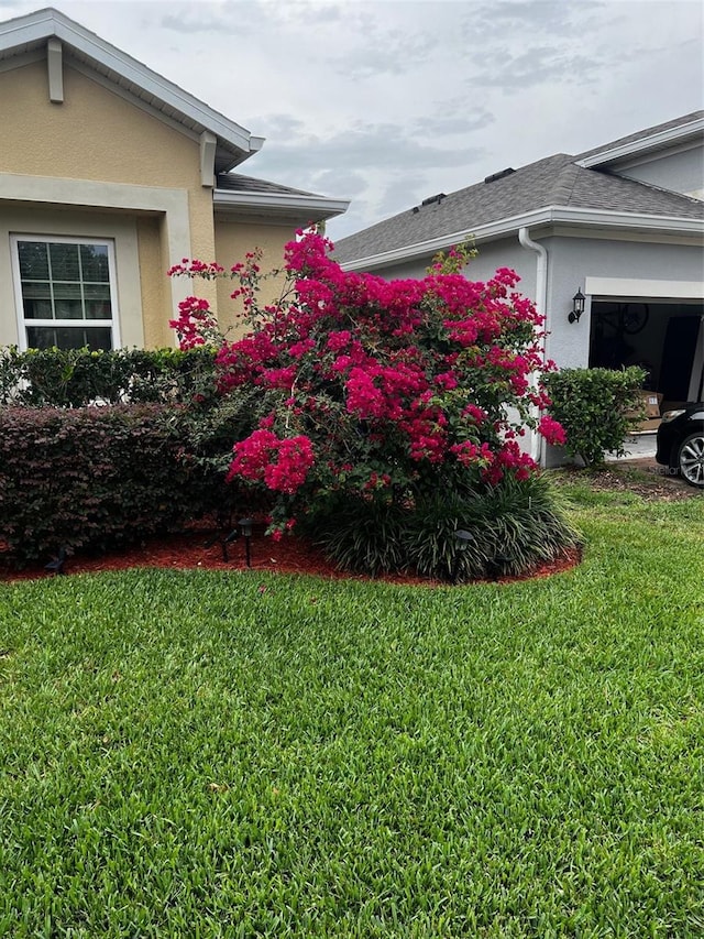 view of home's exterior with a yard