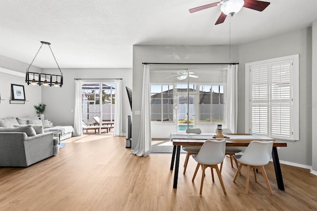 dining area with ceiling fan with notable chandelier, a textured ceiling, and hardwood / wood-style floors