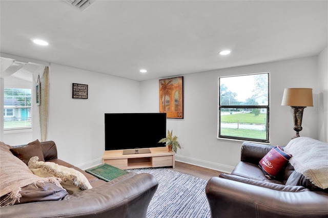 living room featuring hardwood / wood-style flooring