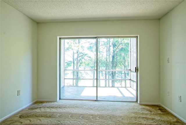 carpeted spare room with a textured ceiling and a healthy amount of sunlight