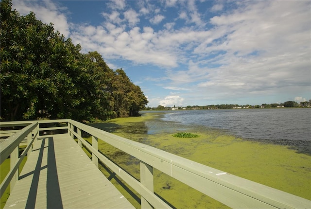 dock area featuring a water view