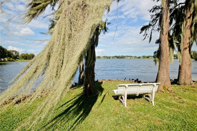 view of water feature