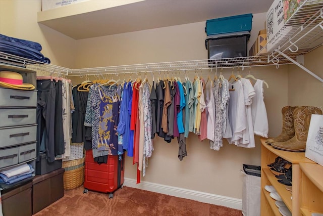 spacious closet featuring carpet flooring