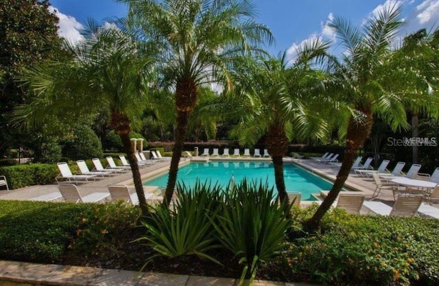 view of swimming pool with a patio